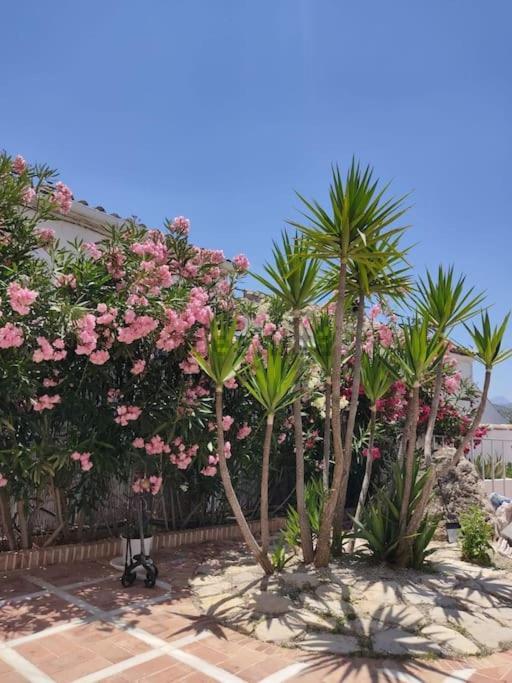 Vivienda Rural Las Bartolas Хаэн Экстерьер фото